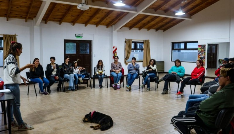 Charla online para el entedimiento de los perros 