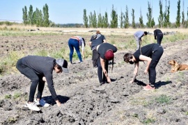 Unos 20 productores trabajan 150 hectáreas recuperadas de producción