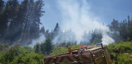 El Hoyo| brigadistas contuvieron el avance de un incendio