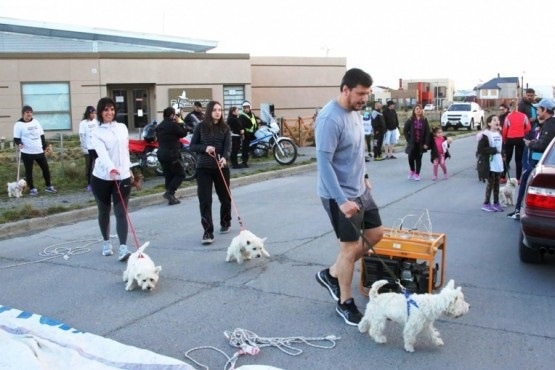 Running, la actividad perfecta para hacer deporte con tu mascota