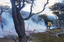 Incendio en el Parque Nacional Los Glaciares llega a un sector de bosque