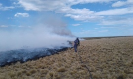 Río Gallegos| Grave incendio sobre pastizales