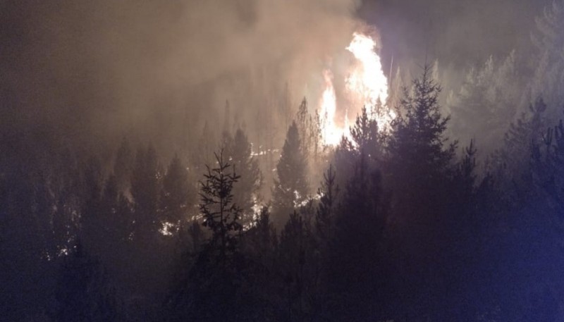 Chubut| Brigadistas combaten Incendio de bosques en Epuyén