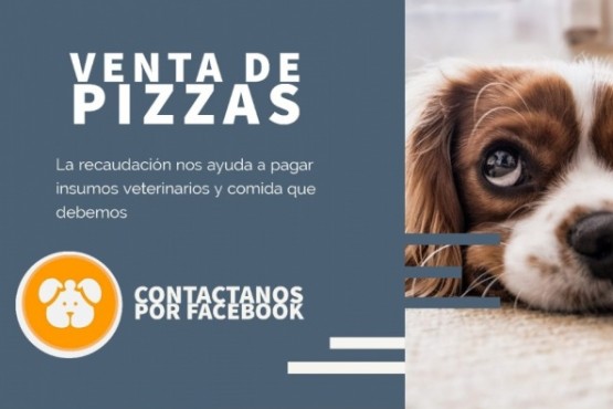 Amigos de 4 patas y Fundación Narices Frías organizan venta de pizzas. 