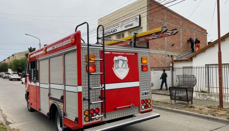 Bomberos de Río Gallegos rescataron gatitos atrapados en un techo 