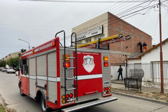 Bomberos de Río Gallegos rescataron gatitos atrapados en un techo 