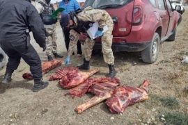 Secuestraron carne faenada de venta clandestina en Río Gallegos