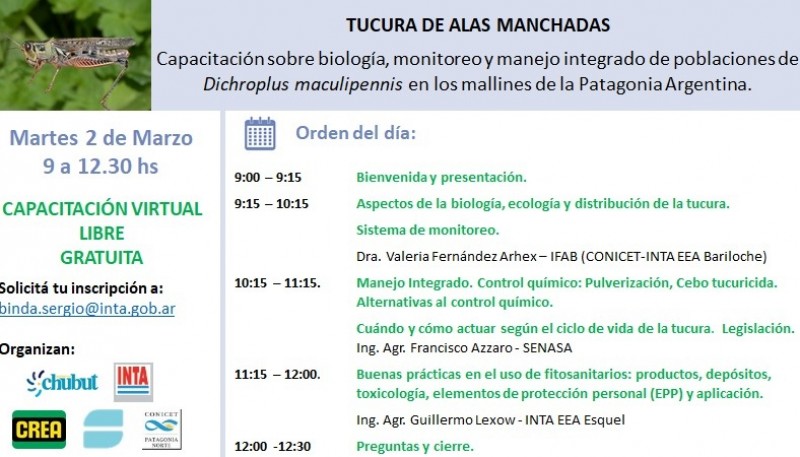 Capacitación gratuita sobre la biología, monitoreo y manejo integrado de poblaciones de tucuras en Esquel