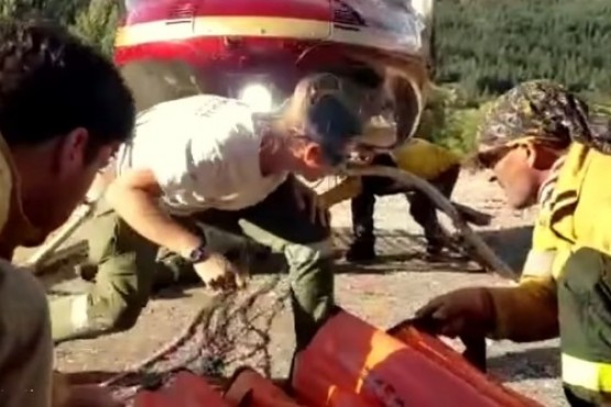 Brigadistas del PN Los Glaciares en Chubut. 