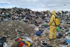 Municipio de Río Gallegos desarrolló tareas de fumigación en el vaciadero