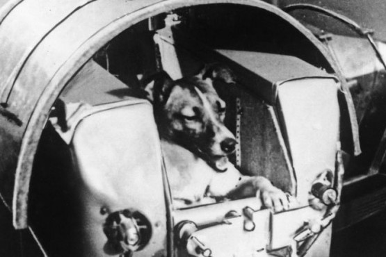 El satélite Sputnik 2 donde murió Laika era del tamaño de una lavadora (BBC).