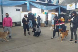 Gran convocatoria en la Expo Animal