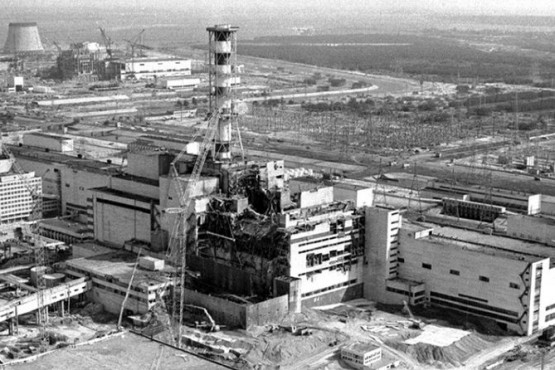 Desde arañas extrañas hasta ranas más oscuras, los animales mutantes de Chernobyl a 35 años del accidente