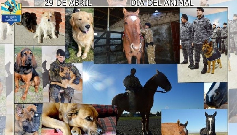 Policía homenajea a los animales.