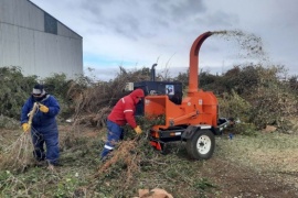 Municipio de Río Gallegos puso en funciones la maquina chipeadora