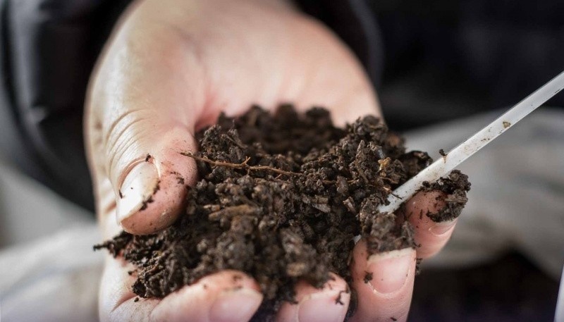 La tierra del compost es ideal para cualquier cultivo. (Fotos Municipalidad de Río Gallegos)