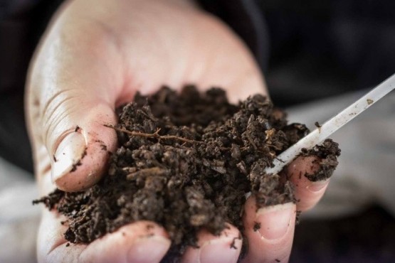 La tierra del compost es ideal para cualquier cultivo. (Fotos Municipalidad de Río Gallegos)