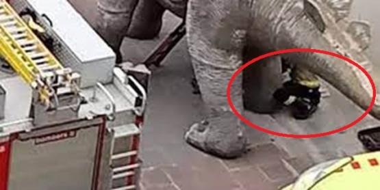 Un hombre murió atrapado dentro de una estatua de un dinosaurio