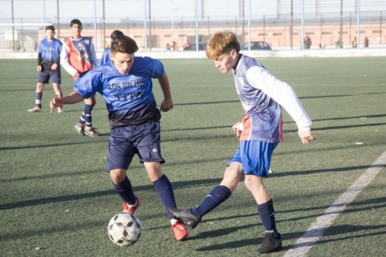 De habilitarse el juego podría haber partidos esta misma semana.