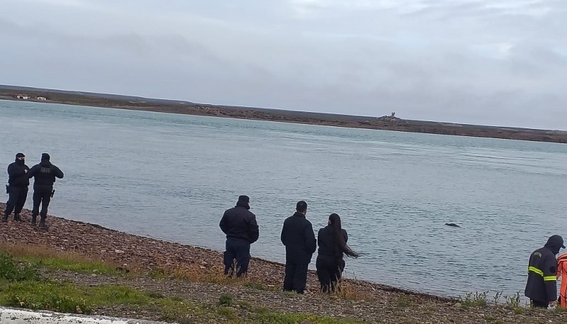 El cuerpo de la mujer fue hallado flotando en el agua y rescatado por el personal de Prefectura Naval Argentina.