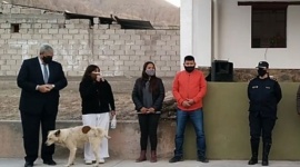 Un perro irrumpió en un acto político y le hizo pis a la intendenta