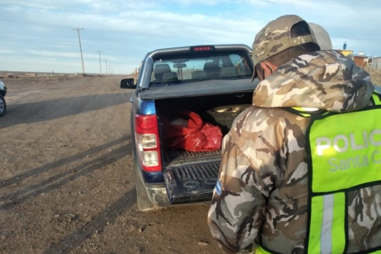 Transportaban carne faenada