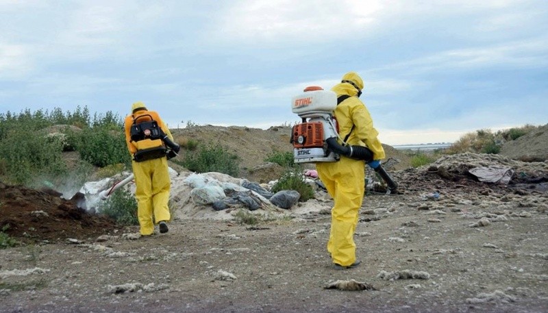 Fumigación vaciadero.