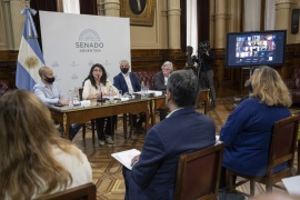 Ana Ianni presentó el proyecto para declarar delitos de Lesa humanidad los hechos de las Huelgas Patagónicas