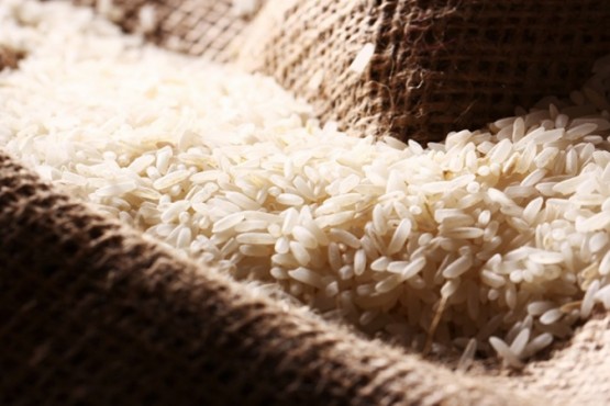 Descubren un arroz con 30% más proteínas