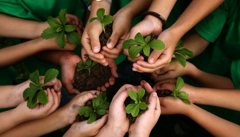 Día Mundial de la Educación Ambiental