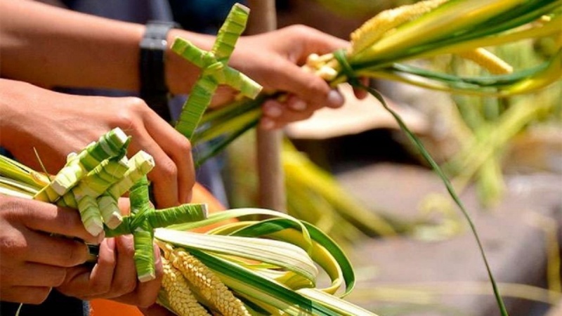 Domingo de ramos. 