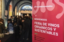 Vinos orgánicos, una tendencia sustentable que crece en el país