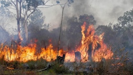 Se conoció el primer condenado por incendios en Corrientes