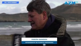 Fabián Gandón: "Puerto Pirámides es el mejor lugar para hacer avistajes en el mundo"