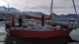 Identificaron al velero que embistió una ballena en el Canal Beagle