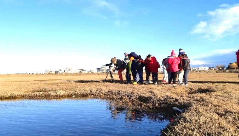 Se encuentran abiertas las inscripciones para las Colonias de Invierno en el Estuario.