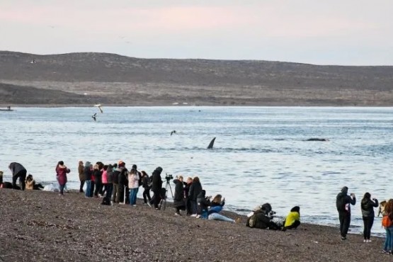 Puerto Madryn espera el fin de semana largo con una capacidad hotelera completa.