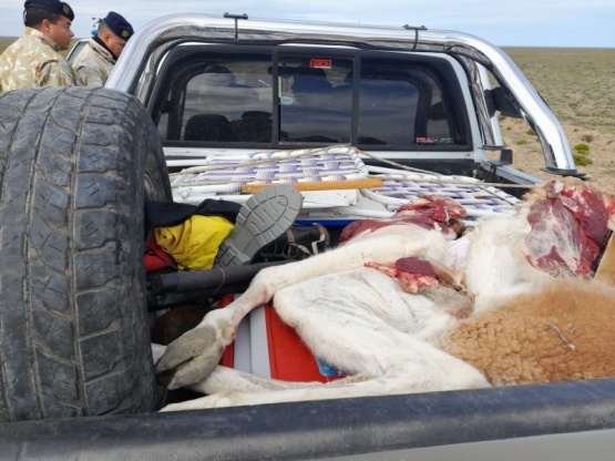 Detenidos con carne de guanaco y un arma de fuego