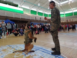 Perros policías: todo lo que tenés que saber sobre su entrenamiento