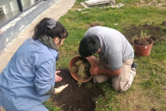 Se plantó flora nativa en el Complejo Cultural en el marco de los 100 años de la Rebelión