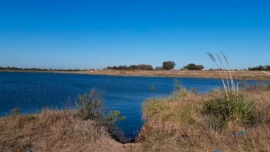 Detuvieron a un hijo del jubilado hallado asesinado dentro de un tanque de agua