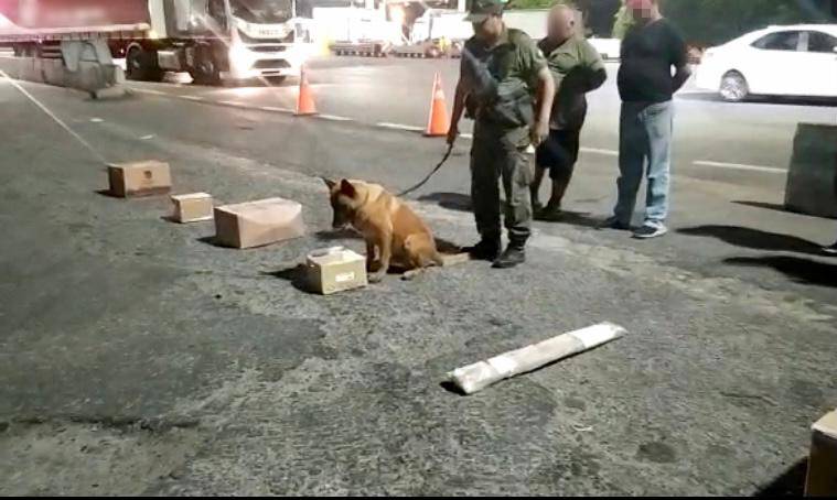 Incautan encomienda con marihuana líquida.  