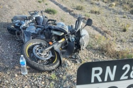 Motociclista embistió a un guanaco