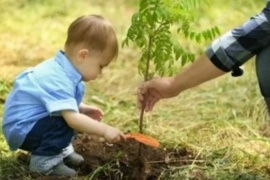 Por cada bebé que nazca en la capital del Chubut, su familia recibirá un árbol