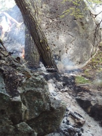 Dos inicios de incendio fueron detectados en El Chalten