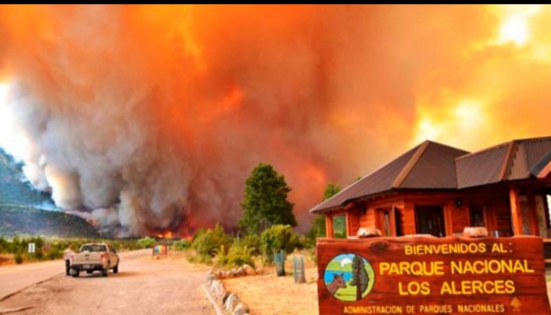 Nuevo incendio en el Parque Nacional los Alerces