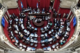 El Senado vuelve a sesionar para renovar autoridades