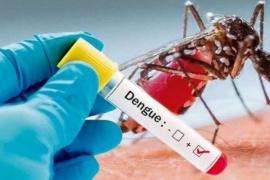 Dengue: Anmat acelera el análisis de una vacuna japonesa