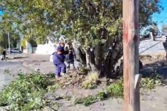 Jornada de poda en los barrios Fátima, Newbery y 400 Departamentos 