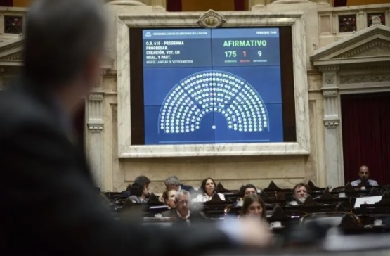 Diputados dio media sanción a un proyecto que crea por ley las becas Progresar